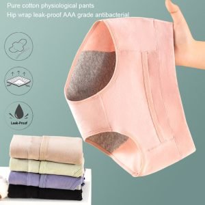 Period Panty